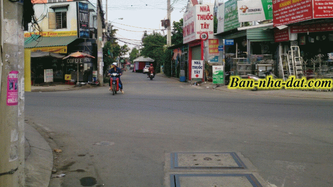 duong tan xuan 4