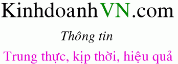 Dịch vụ chuyên nghiệp-KinhdoanhVN.com
