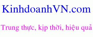 Dịch vụ chuyên nghiệp-KinhdoanhVN.com