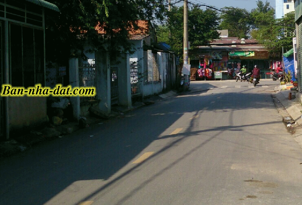 Dịch vụ chuyên nghiệp-KinhdoanhVN.com