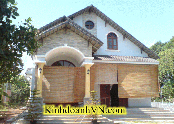 Dịch vụ chuyên nghiệp-KinhdoanhVN.com