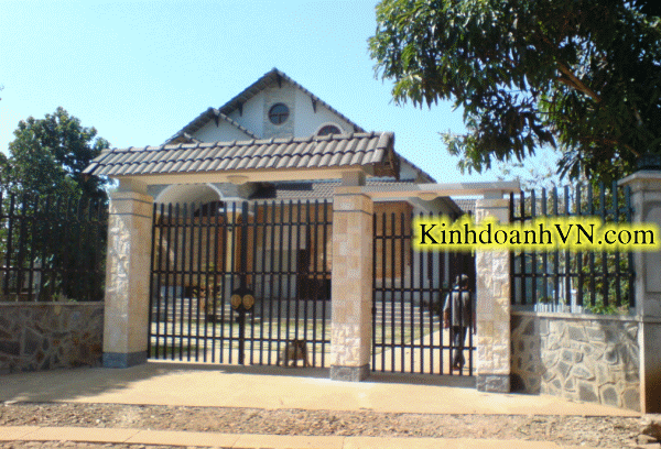 Dịch vụ chuyên nghiệp-KinhdoanhVN.com