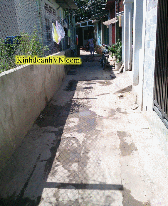 Dịch vụ chuyên nghiệp-KinhdoanhVN.com