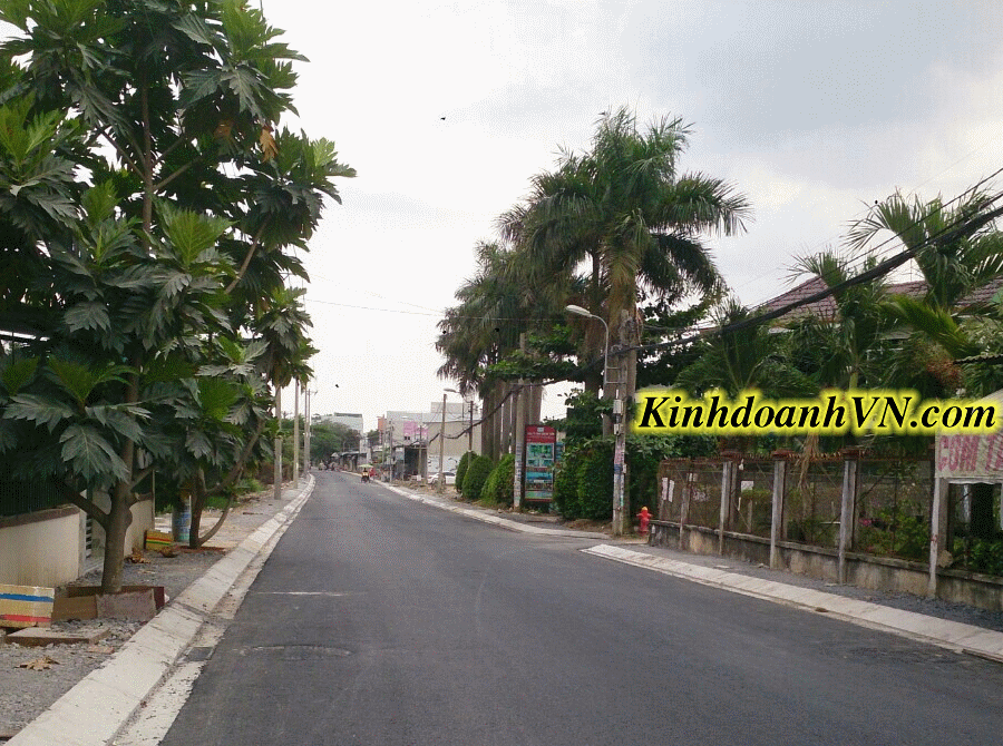 Dịch vụ chuyên nghiệp-KinhdoanhVN.com