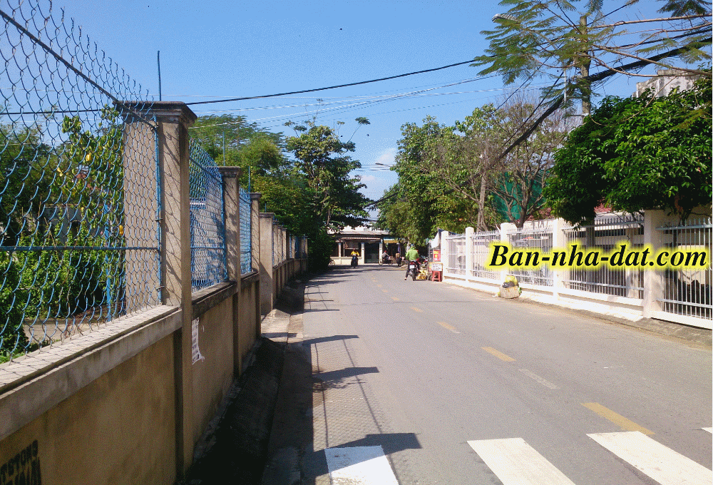 Dịch vụ chuyên nghiệp-KinhdoanhVN.com