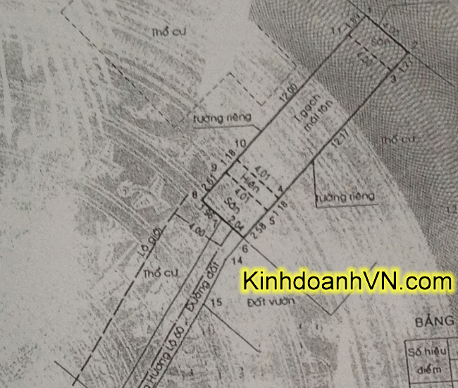 Dịch vụ chuyên nghiệp-KinhdoanhVN.com
