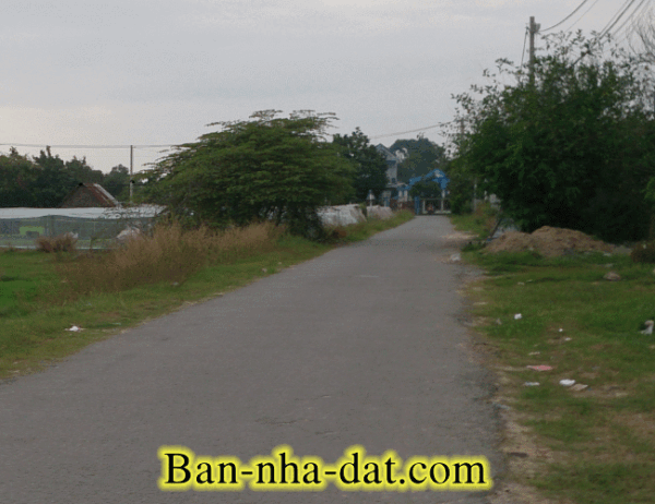 duong tan hiep 17