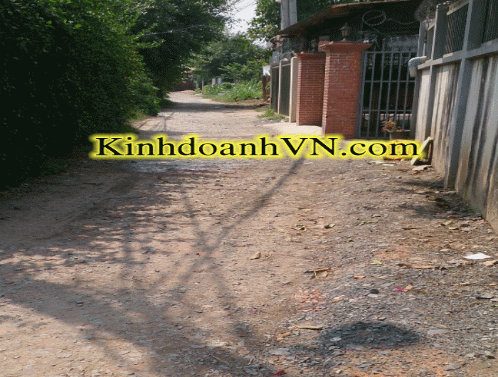 Dịch vụ chuyên nghiệp-KinhdoanhVN.com