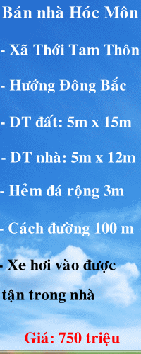 Dịch vụ chuyên nghiệp-KinhdoanhVN.com