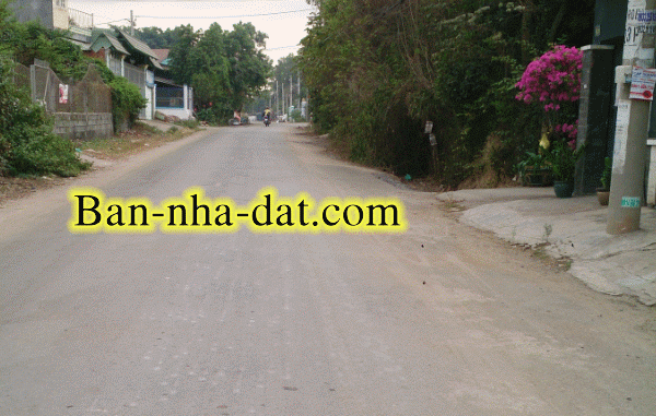 Bán đất tân HIệp Hóc Môn ban dat mat tien