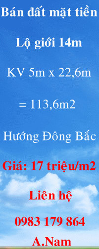 Dịch vụ chuyên nghiệp-KinhdoanhVN.com
