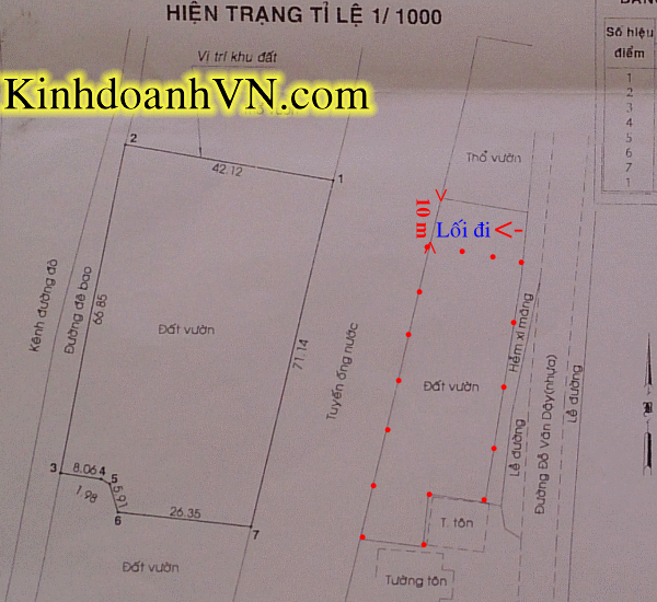 Dịch vụ chuyên nghiệp-KinhdoanhVN.com