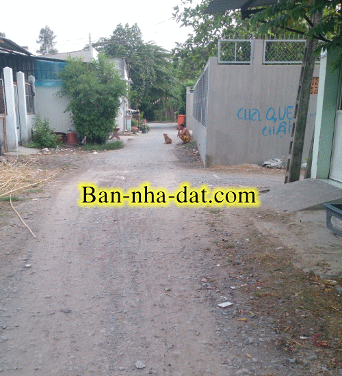 Bán nhà đường Tân Hiệp 14, huyện Hóc Môn, TpHCM ban nha duong tan hiep 14
