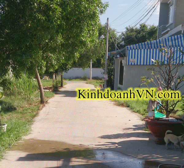 Dịch vụ chuyên nghiệp-KinhdoanhVN.com
