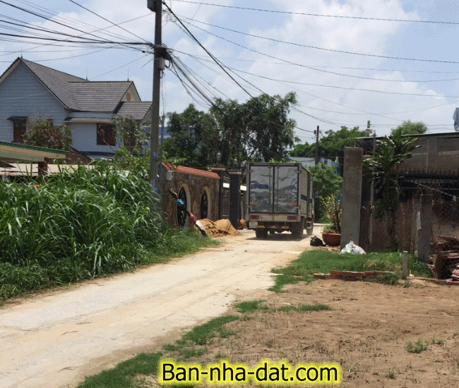 Dịch vụ chuyên nghiệp-KinhdoanhVN.com