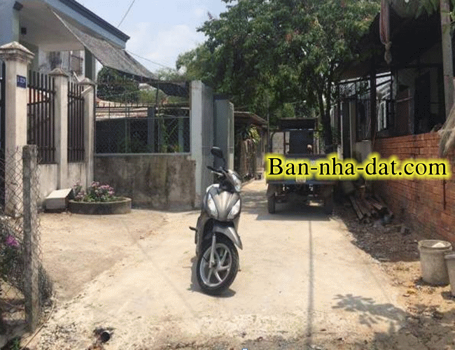 Dịch vụ chuyên nghiệp-KinhdoanhVN.com