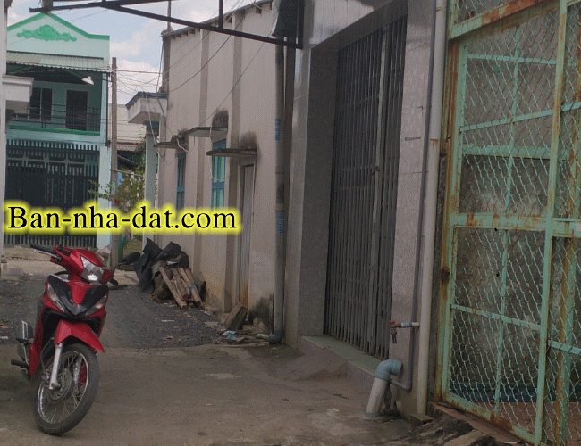 Dịch vụ chuyên nghiệp-KinhdoanhVN.com