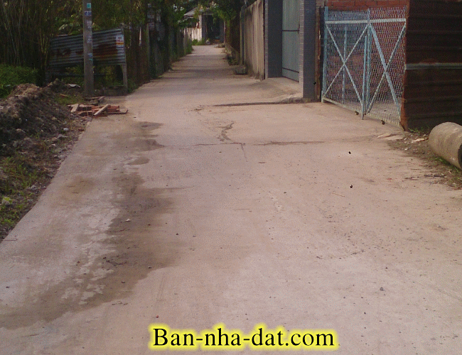 Dịch vụ chuyên nghiệp-KinhdoanhVN.com