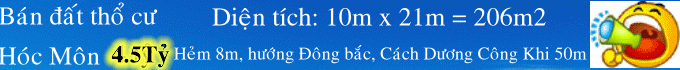 Dịch vụ chuyên nghiệp-KinhdoanhVN.com