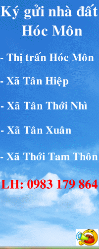 Dịch vụ chuyên nghiệp-KinhdoanhVN.com