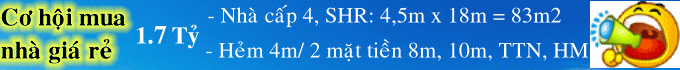 Dịch vụ chuyên nghiệp-KinhdoanhVN.com