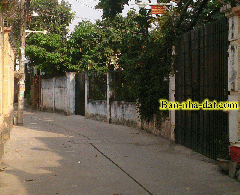 Dịch vụ chuyên nghiệp-KinhdoanhVN.com