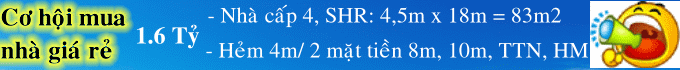 Dịch vụ chuyên nghiệp-KinhdoanhVN.com
