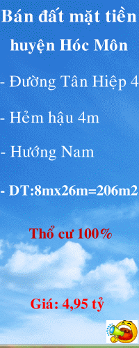 Dịch vụ chuyên nghiệp-KinhdoanhVN.com