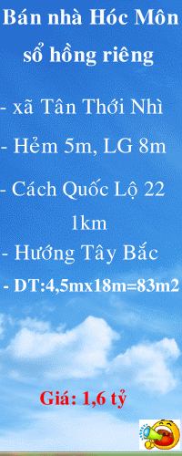 Dịch vụ chuyên nghiệp-KinhdoanhVN.com