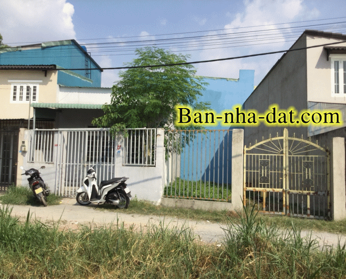 Dịch vụ chuyên nghiệp-KinhdoanhVN.com