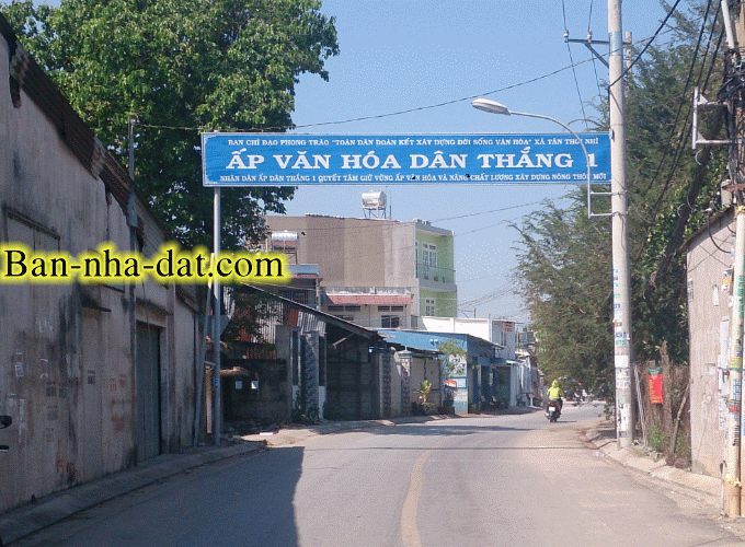 Dịch vụ chuyên nghiệp-KinhdoanhVN.com