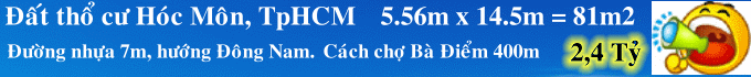 Dịch vụ chuyên nghiệp-KinhdoanhVN.com