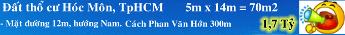Dịch vụ chuyên nghiệp-KinhdoanhVN.com