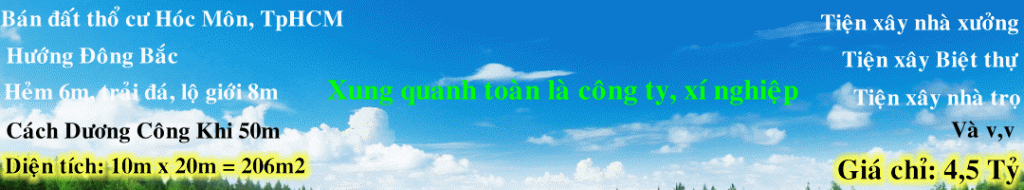 Dịch vụ chuyên nghiệp-KinhdoanhVN.com