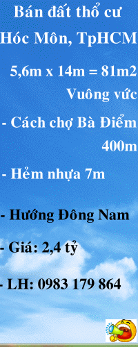 Dịch vụ chuyên nghiệp-KinhdoanhVN.com