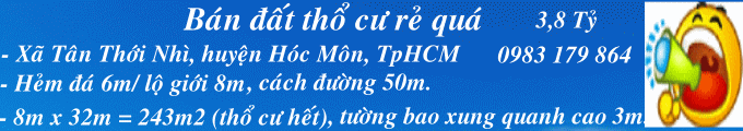 Dịch vụ chuyên nghiệp-KinhdoanhVN.com