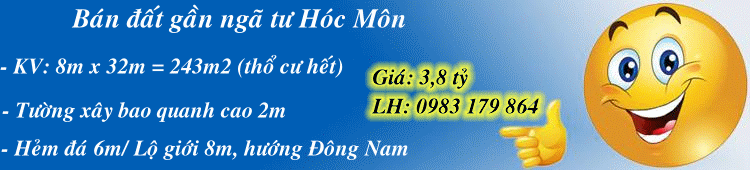 Dịch vụ chuyên nghiệp-KinhdoanhVN.com