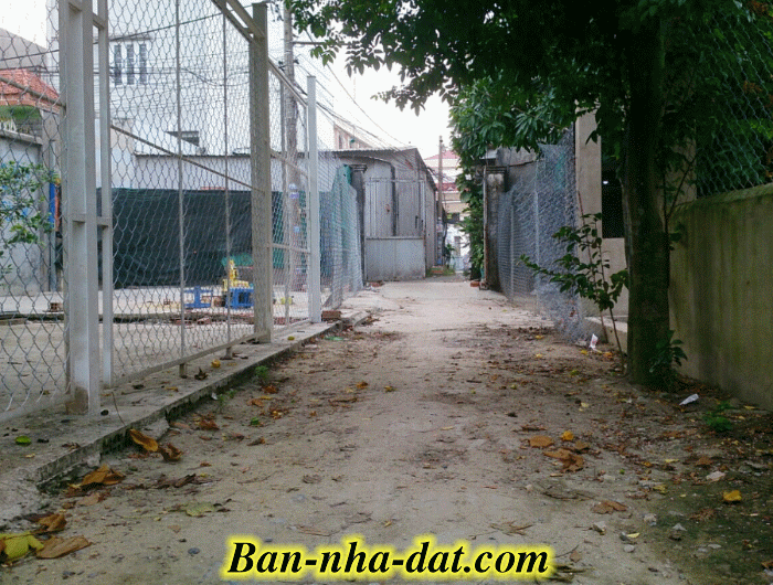 Dịch vụ chuyên nghiệp-KinhdoanhVN.com