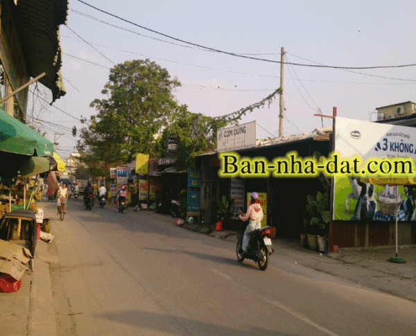 ban nha mat tien hoc mon nb1641