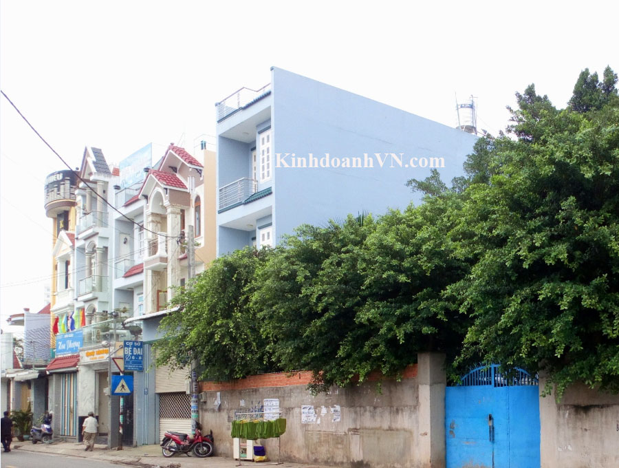 Dịch vụ chuyên nghiệp-KinhdoanhVN.com