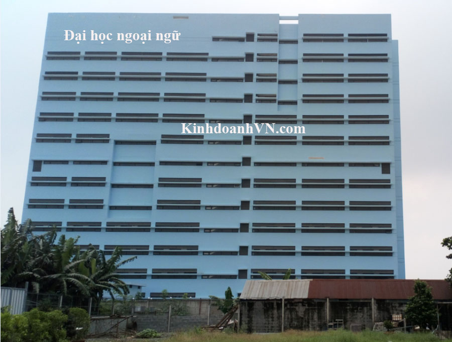 Dịch vụ chuyên nghiệp-KinhdoanhVN.com