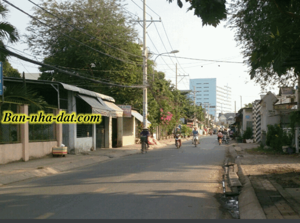 Bán Nhà đường Tân Xuân 6