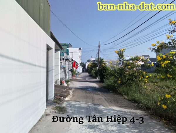ban dat duong tan hiep 4