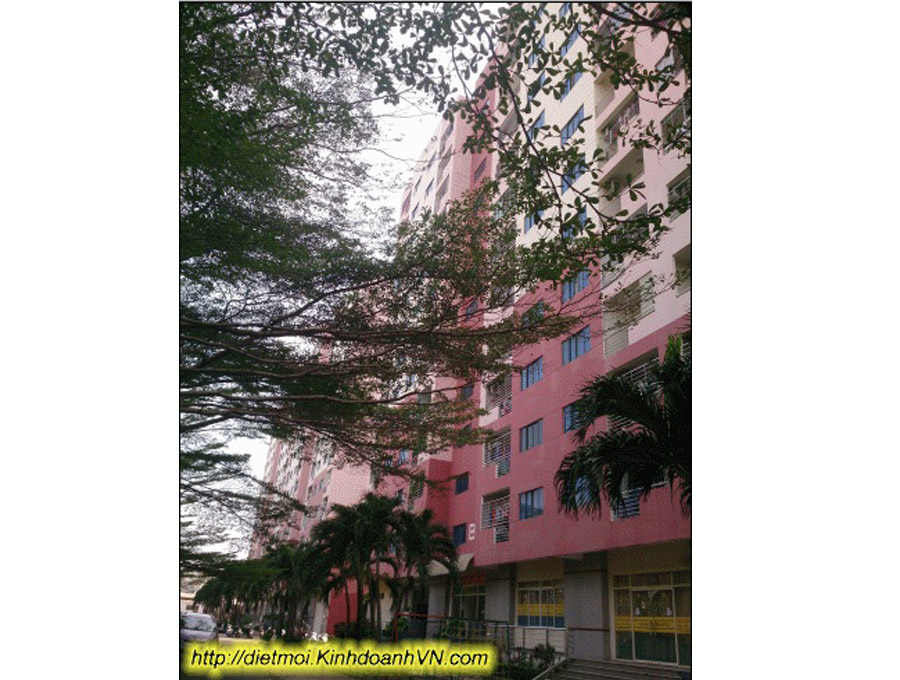 Diệt gián chung cư tại tphcm