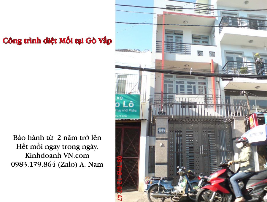 Dịch vụ diệt mối tại nhà ở gò vấp