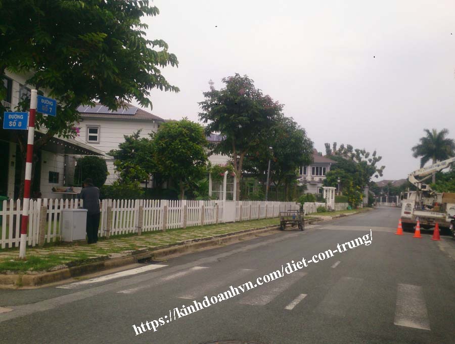 Diệt mối tại Thủ Đức