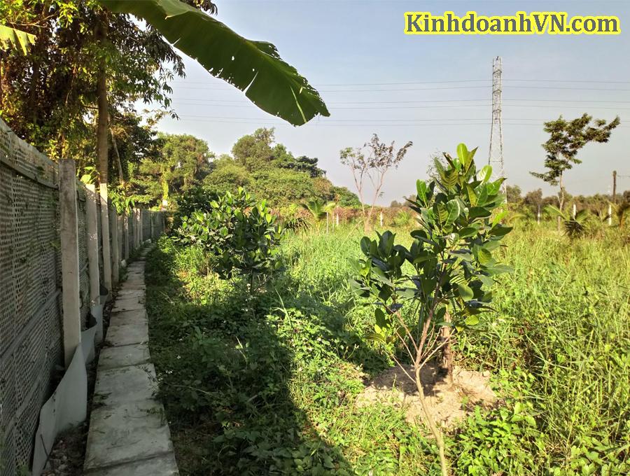 Dịch vụ chuyên nghiệp-KinhdoanhVN.com