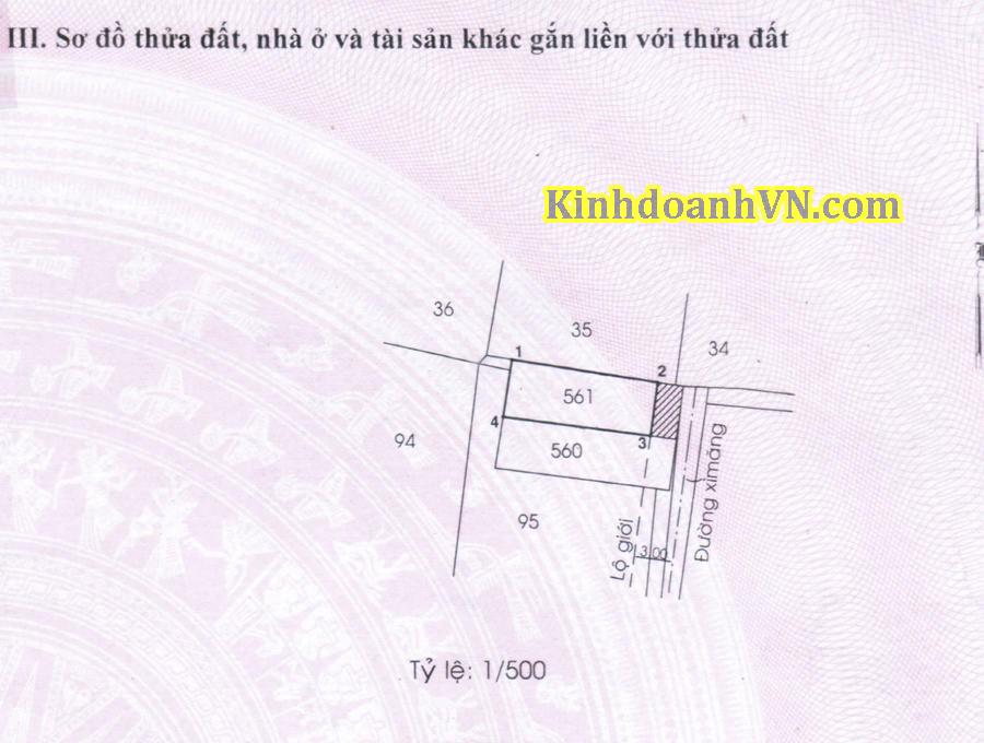 Dịch vụ chuyên nghiệp-KinhdoanhVN.com