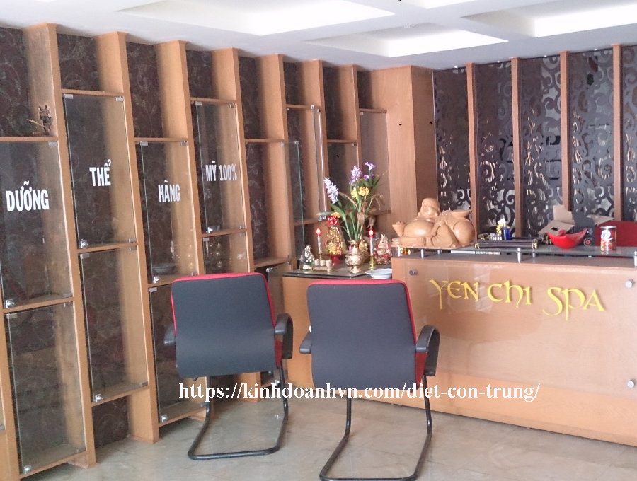 Tủ gỗ công nghiệp, tại sao cần phải phòng mối cho nó nội thất bằng gỗ công nghiệp