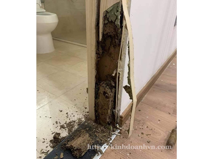 khung cửa gỗ bị mối